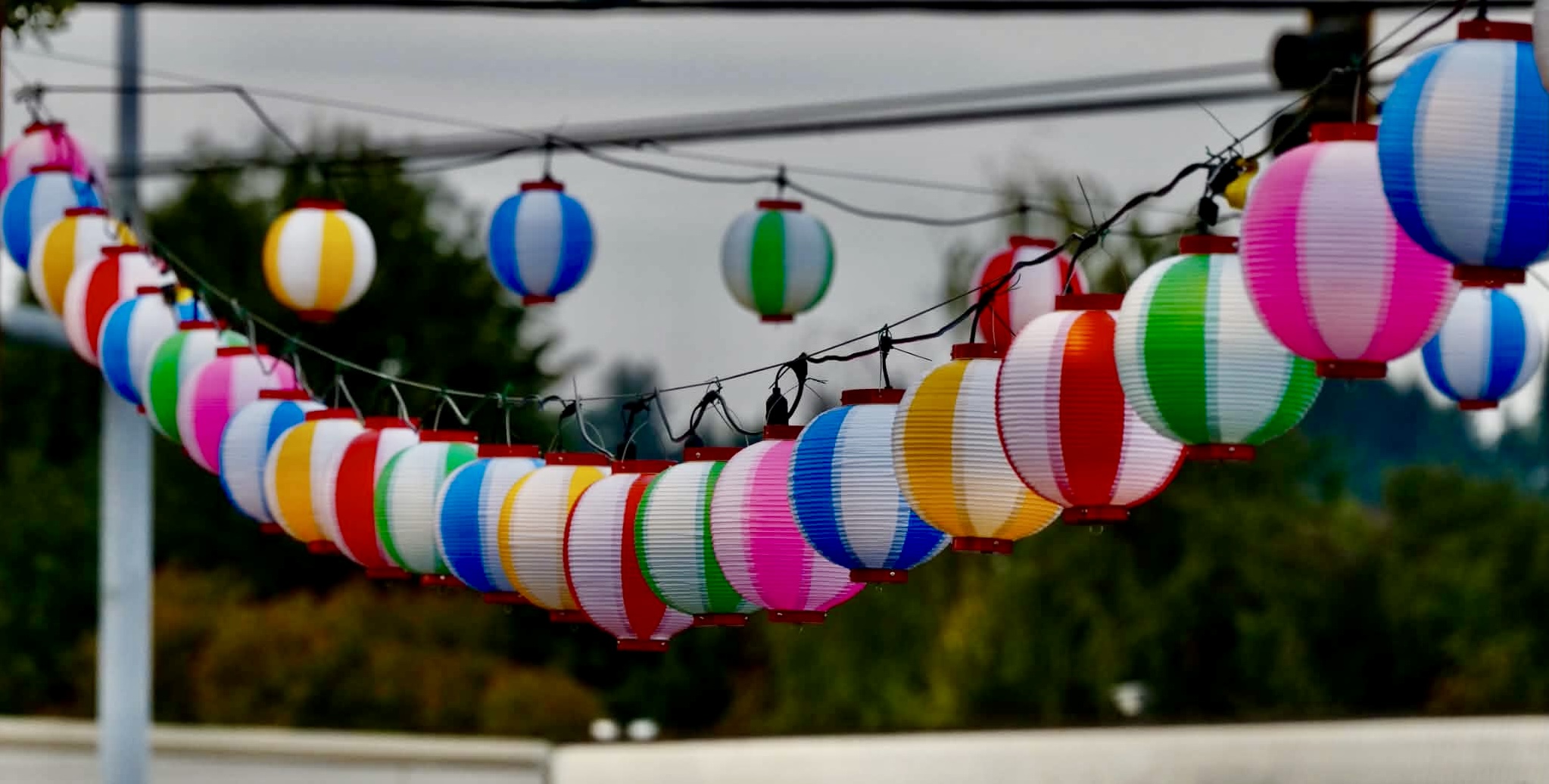 It’s time for Bon Odori 2026!